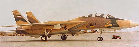هواپیمای F-14 تامکت-تصویر متعلق به دوران قبل از انقلاب