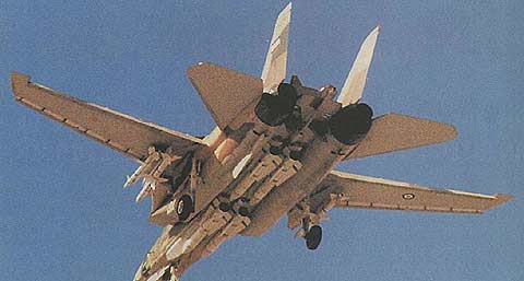 هواپیمای F-14 تامکت ایرانی در حال فرود و فول لود